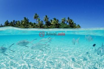 菲律宾房产_菲律宾房价_菲律宾房地产_菲律宾