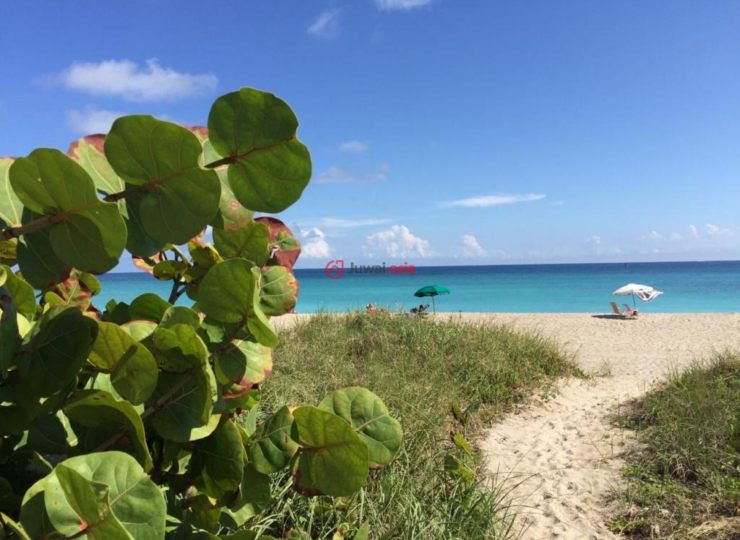 美国佛罗里达州棕榈滩海岸1卧1卫的房产USD