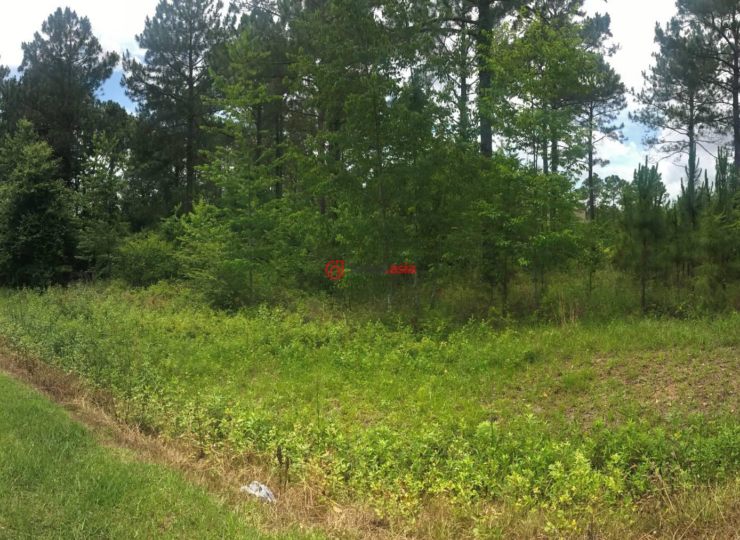 美国佐治亚州莫尔特里的房产