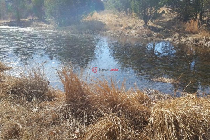 美国密苏里州thornfield的房产