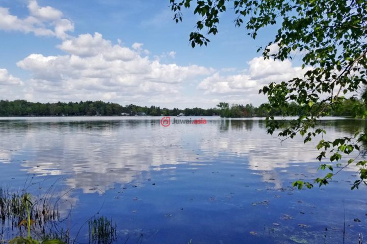 美国密歇根州罗德尼的房产