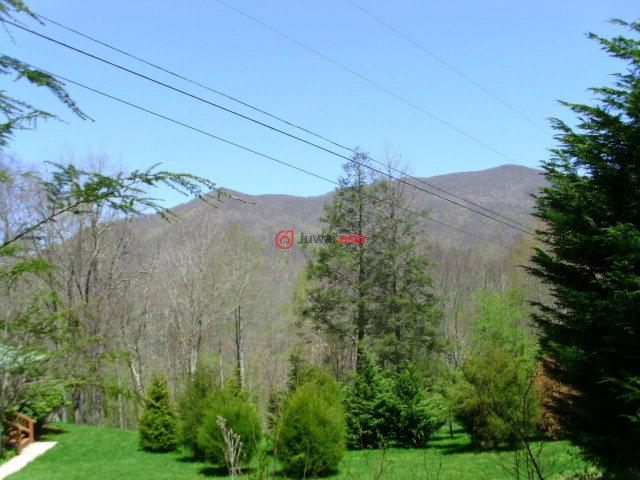 美国北卡罗莱纳州巴克斯维尔的房产