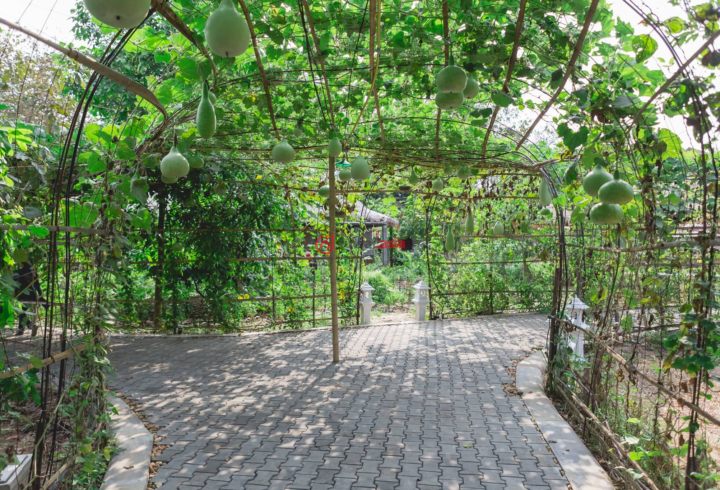 泰国的,unnamed road,编号39209002