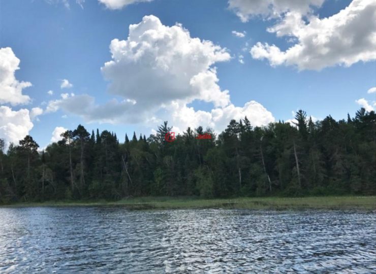 美国明尼苏达州park rapids的房产