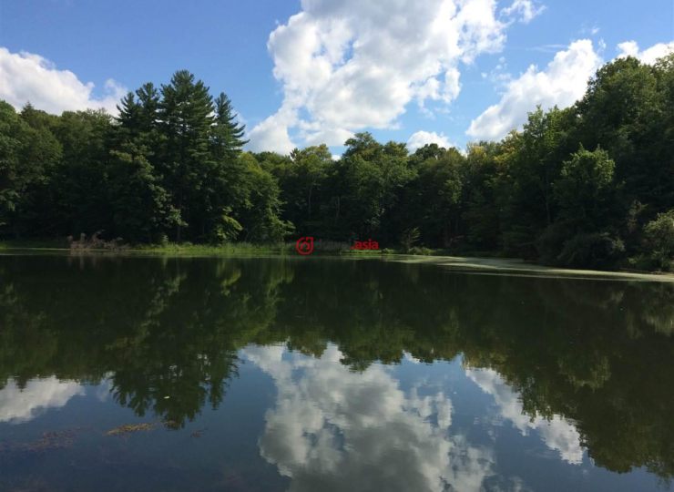 美国纽约州stillwater3卧4卫的房产