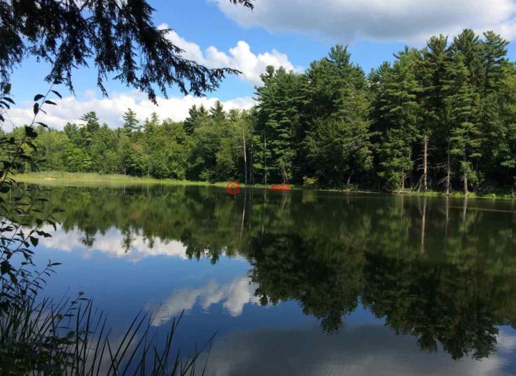 美国纽约州stillwater3卧4卫的房产